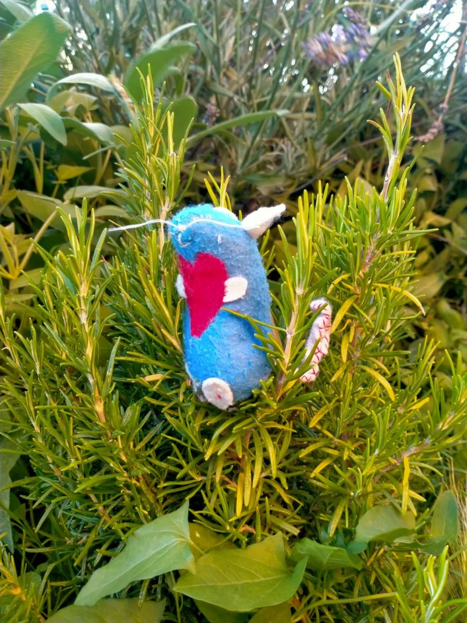 Bua