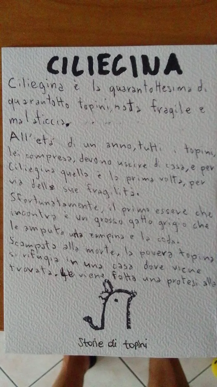 Ciliegina - immagine 2