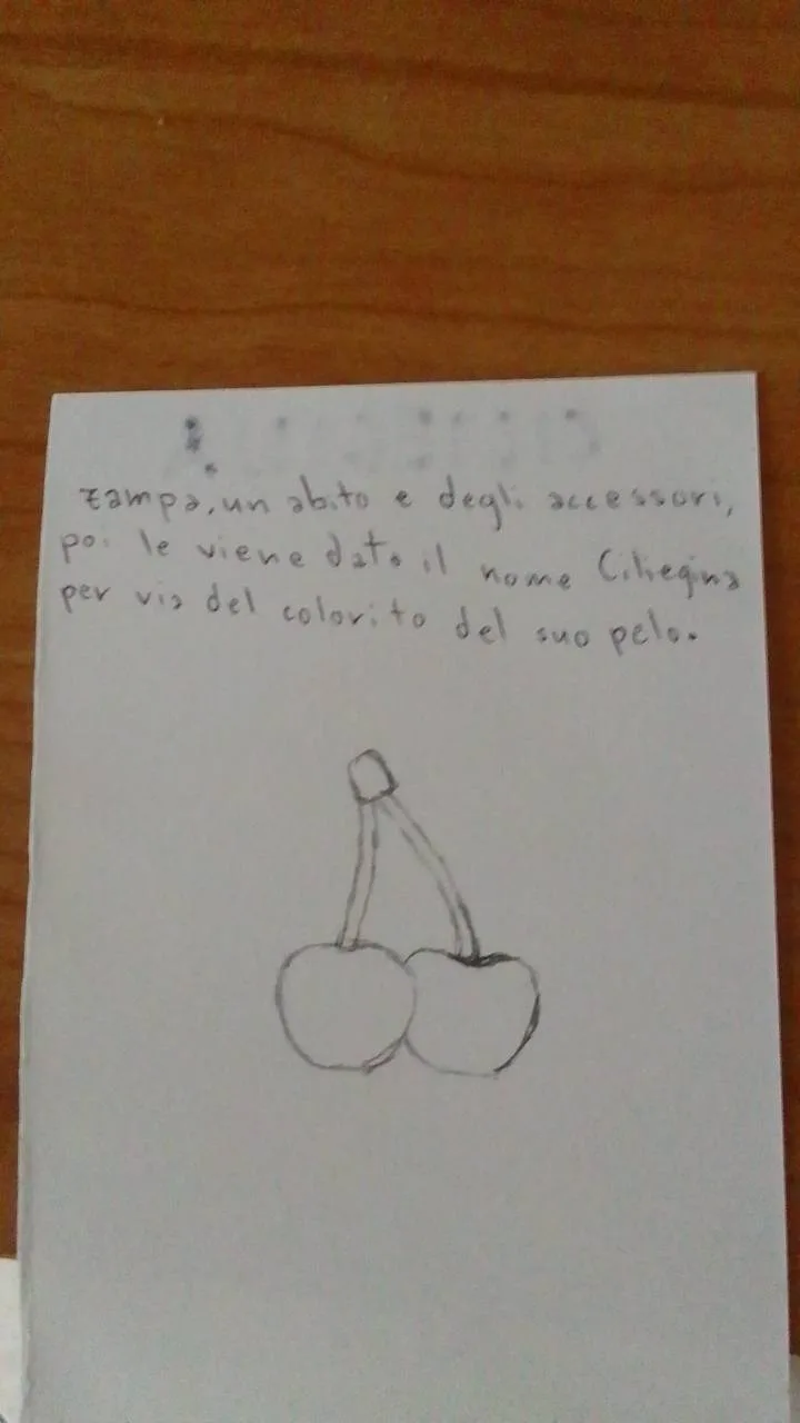 Ciliegina - immagine 3