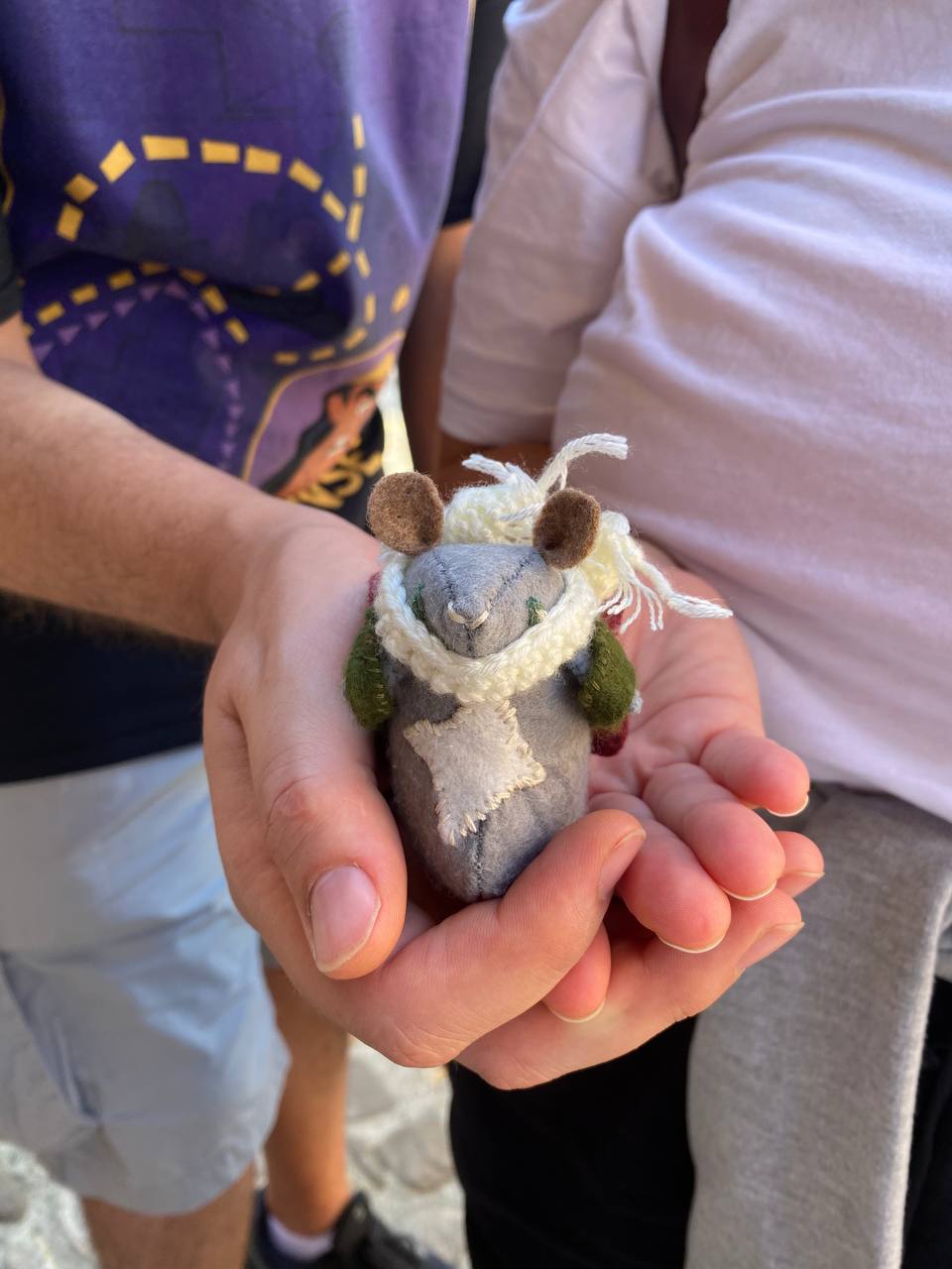 Pleia
