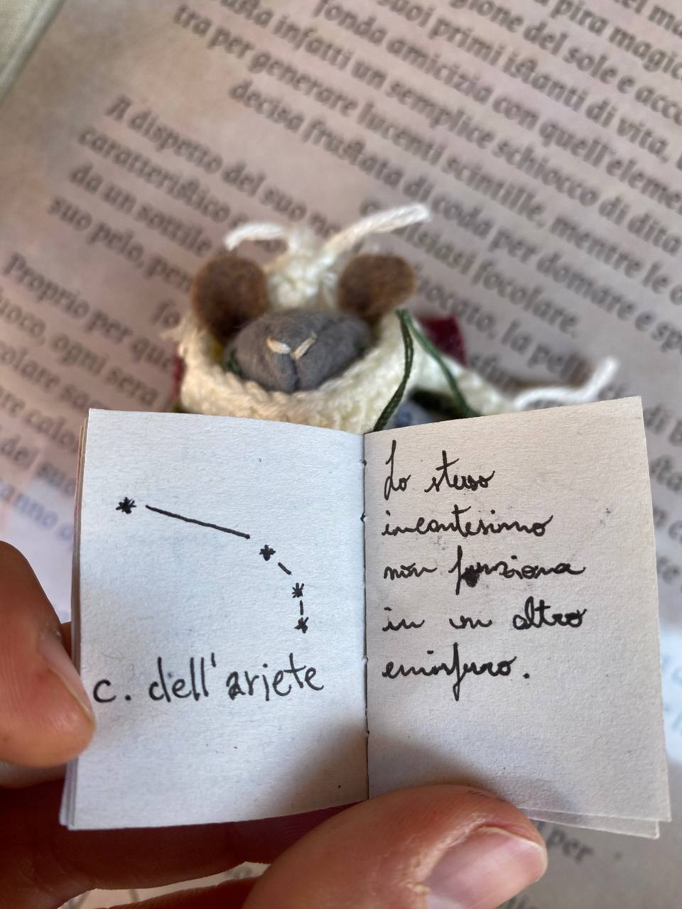Pleia - immagine 7