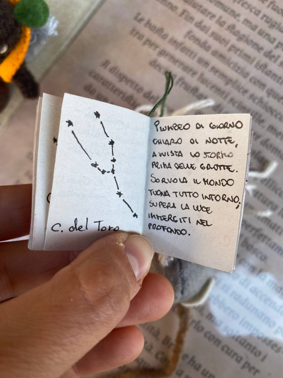 Pleia - immagine 9