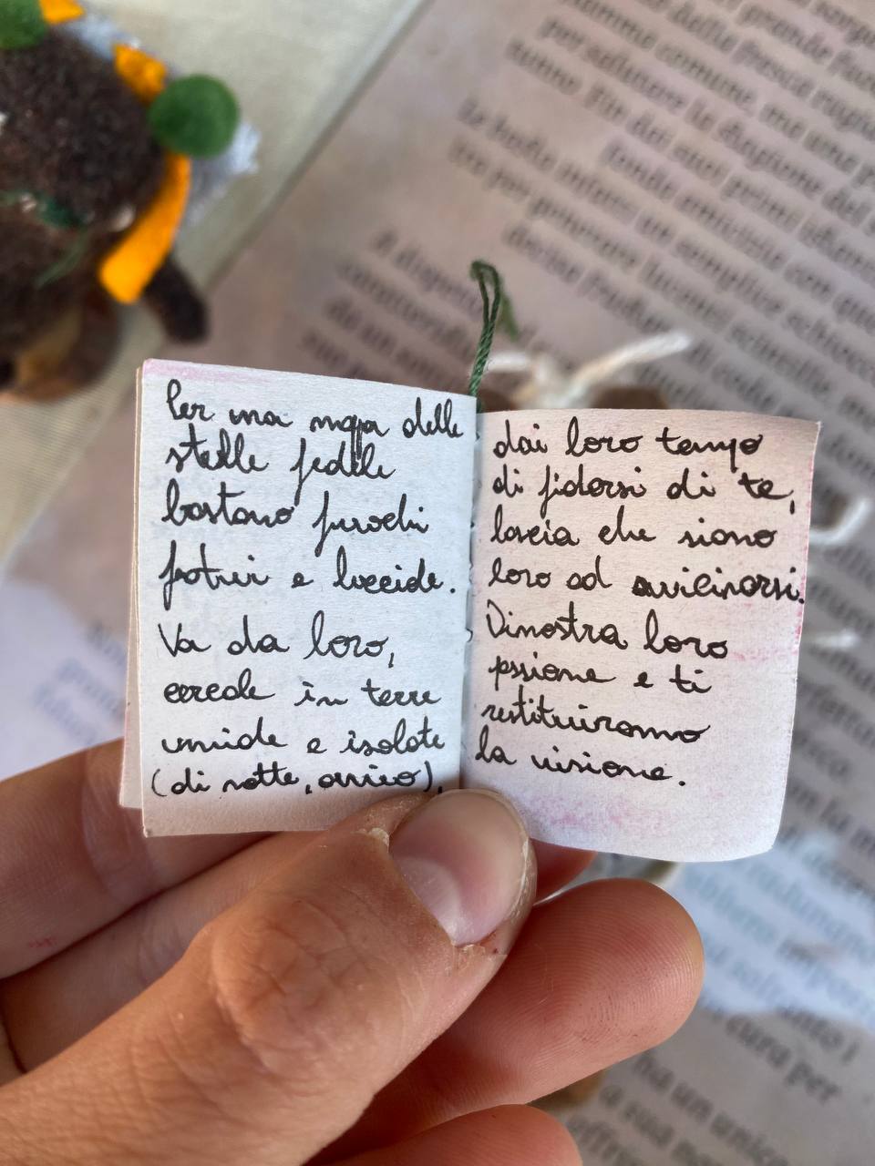 Pleia - immagine 11